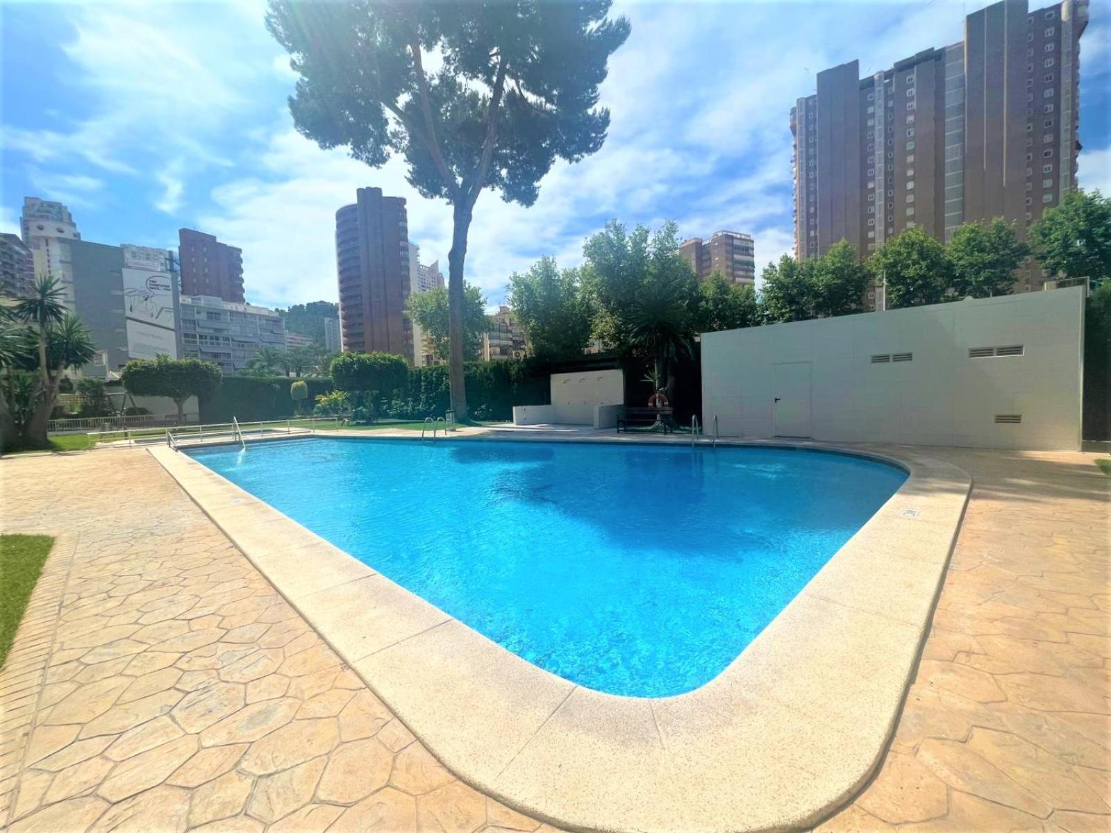 Albatros 18 Apartment